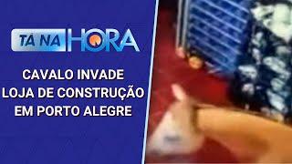 Flagrante: cavalo invade loja de construção e assusta clientes | Tá na Hora (06/11/24)