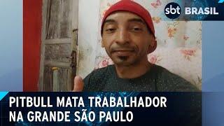 Pedreiro morre após ser atacado por pitbull em São Paulo | SBT Brasil (15/11/24)