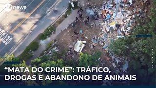 “Mata do Crime” tem motos roubadas, drogas e maus-tratos contra animais | #SBTNews Manhã (30/04/25)