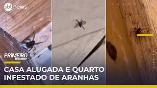 Homem encontra ninho de aranhas venenosas em casa alugada | Primeiro Impacto (20/05/26)