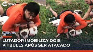 Professor de artes marciais imobiliza dois pitbulls após ser atacado em Ponta Porã (MS) | #TanaHora