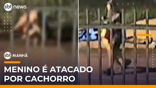 Homem dá “mata-leão” em cachorro e salva menino de ataque | #SBTManhã