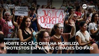 Morte do cão Orelha mobiliza protestos por justiça em várias cidades do Brasil | #NewsDomingo