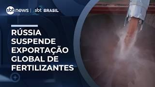 Rússia suspende exportação global de fertilizantes; Brasil é um dos mais afetados 