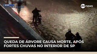 Queda de árvore causa morte, após fortes chuvas no interior de SP | #NewsPrimeiraEdição