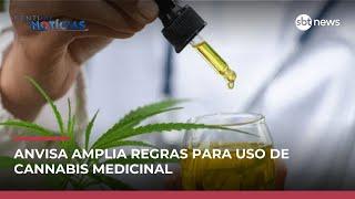Anvisa aprova novas regras para uso de cannabis medicinal no Brasil