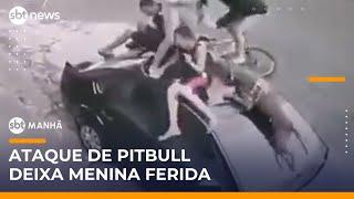 Crianças sobem em capô de carro para escapar de ataque de pitbull | #SBTManhã
