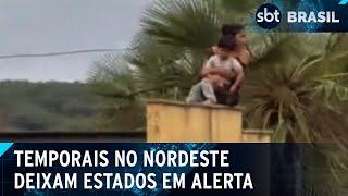 Família é resgatada de telhado de casa durante temporal em Picos (PI) | SBT Brasil (14/01/25)