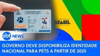 Governo deve disponibiliza identidade nacional para pets a partir de 2025