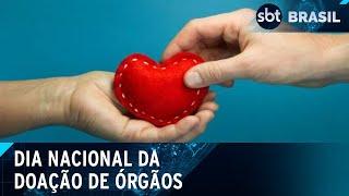 Brasil tem o maior sistema público de transplantes do mundo | SBT Brasil (27/09/24)