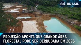 Projeção feita por IA aponta dado alarmante sobre possível área desmatada | SBT Brasil (16/12/24)