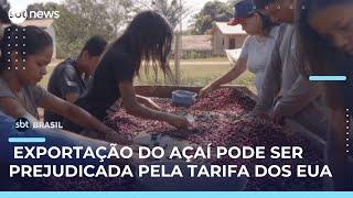 Tarifa dos EUA sobre o açaí ameaça 7 bilhões de faturamento no Pará | #SBTBrasil