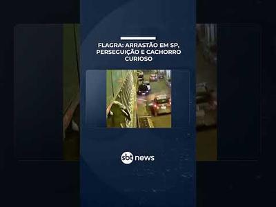 Três homens são detidos após arrastão e perseguição com direito a cachorro curioso | #SBTManhã