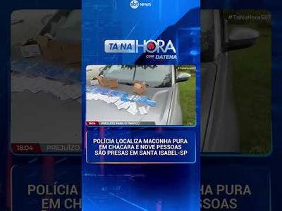 Polícia prende nove suspeitos em laboratório de maconha em Santa Isabel 