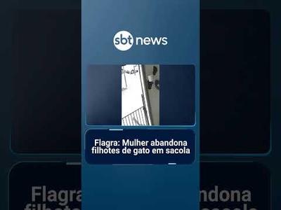 Flagra: Mulher abandona filhotes de gato em sacola | #SBTManhã