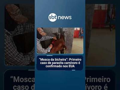 "Mosca da bicheira": Primeiro caso de parasita carnívoro é confirmado nos EUA | #SBTNotícias