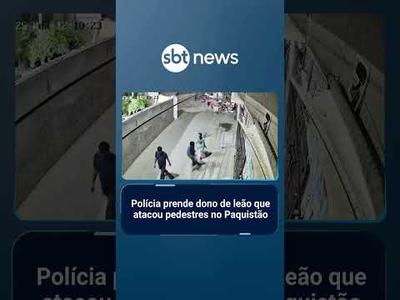 Polícia prende dono de leão que atacou pedestres no Paquistão | #SBTNotícias