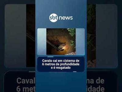Cavalo cai em cisterna de 6 metros de profundidade e é resgatado