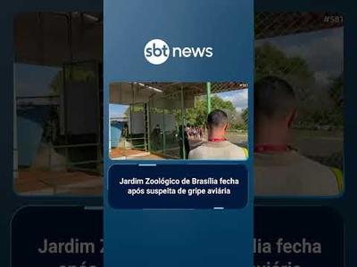 Zoológico é fechado após suspeita de animais mortos por gripe aviária