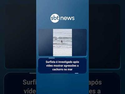 Surfista é investigado após vídeo mostrar agressões a cachorro no mar | #SBTManhã