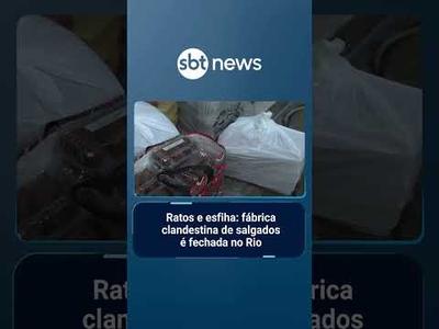 Fábrica clandestina de salgados em situação precária é fechada no RJ