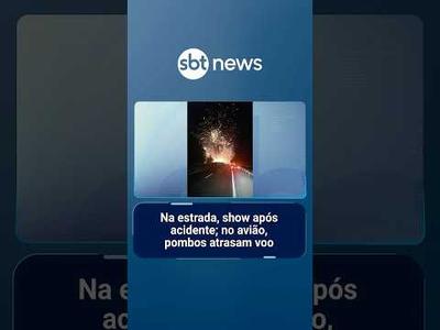 Flagras do mundo: “show” após acidente e invasão de pombos em avião