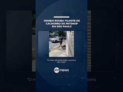 Homem rouba filhote de cachorro de petshop em São Paulo | #SBTNotícias