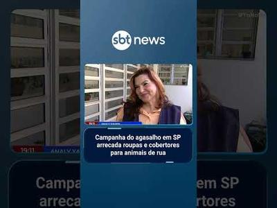 Campanha do agasalho em SP arrecada roupas e cobertores para animais de rua