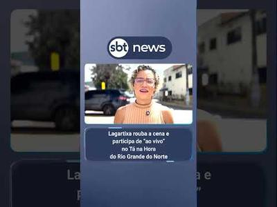 Lagartixa rouba a cena e participa de “ao vivo” no Tá Na Hora do Rio Grande do Norte