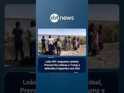Papa Leão XIV: enquanto cardeal, Prevost fez críticas a Trump e defendeu imigrantes nos EUA