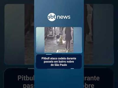Pitbull ataca cadela durante passeio em bairro nobre de São Paulo | #TaNaHora