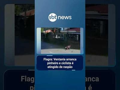 Flagra: Ventania arranca pinheiro e ciclista é atingido de raspão | #SBTManhã