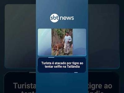 Turista é atacado por tigre ao tentar selfie na Tailândia