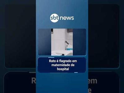 Rato é flagrado em maternidade de hospital em Praia Grande (SP) | #SBTManhã