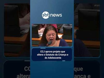CCJ aprova aumento de pena para aliciamento de menores nas redes sociais | #SBTBrasil