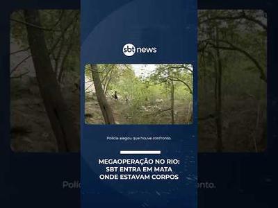 121 mortos: SBT entra em mata onde corpos foram encontrados após megaoperação no Rio | #SBTBrasil