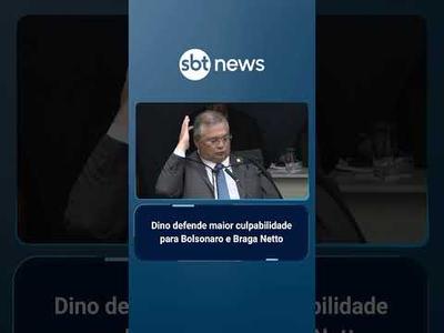 Dino defende graus diferentes de culpabilidade de réus