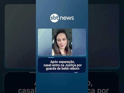 Após separação, casal entra na Justiça por guarda de bebê reborn