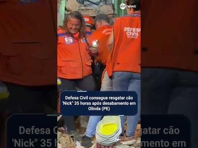Cachorro é resgatado com vida após desabamento causado por explosão de gás em Olinda (PE)