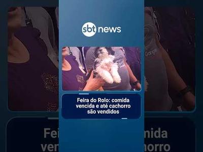 Feira do Rolo: comida vencida e até cachorro são vendidos