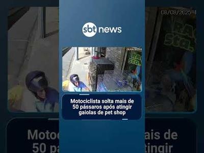 Motociclista solta mais de 50 pássaros após atingir gaiolas de pet shop | #SBTNoticias