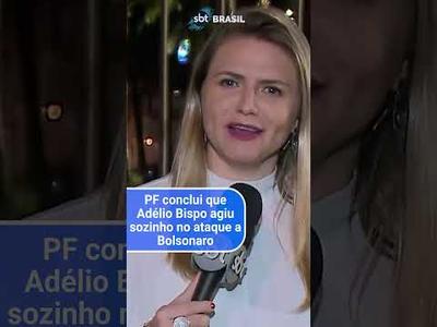 PF conclui que Adélio Bispo agiu sozinho no ataque a Bolsonaro