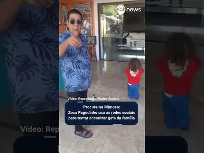 Procura-se Mimosa: Zeca Pagodinho usa as redes sociais para tentar encontrar gata da família