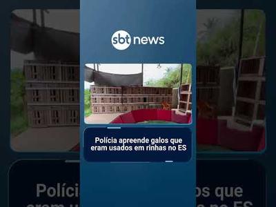 Polícia apreende galos que eram usados em rinhas no ES