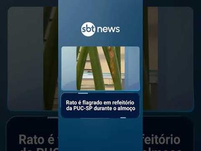 Rato é flagrado em refeitório da PUC-SP durante o almoço