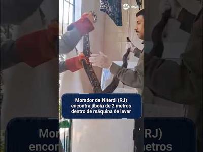Morador de Niterói (RJ) encontra jiboia de 2 metros dentro de máquina de lavar
