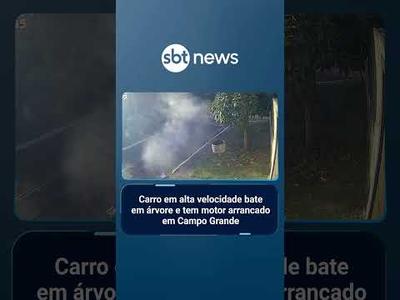 Carro em alta velocidade bate em árvore e tem motor arrancado em Campo Grande | #SBTNotícias