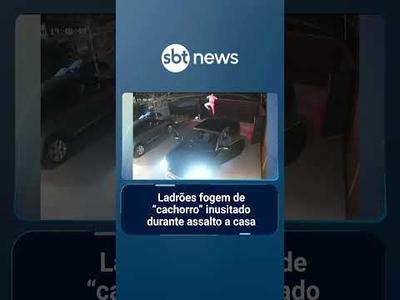 Ladrões fogem de “cachorro” inusitado durante assalto a casa | #PrimeiroImpacto