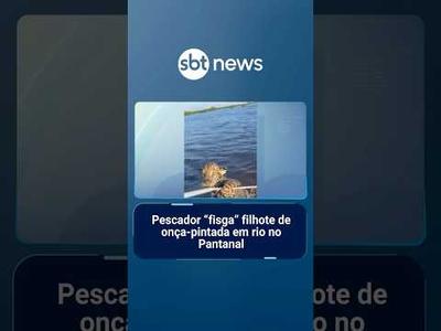 Pescador “fisga” filhote de onça-pintada em rio no Pantanal | #SBTNotícias