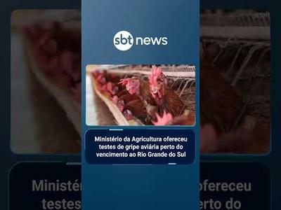 Gripe aviária: RS recusou testes vencidos oferecidos pelo governo